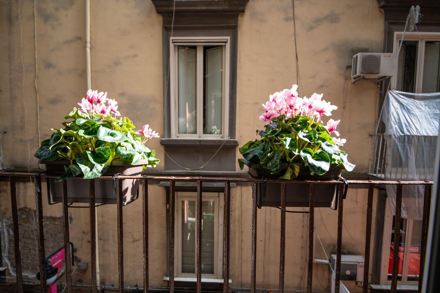 B&B Napoli Time Bagian luar foto